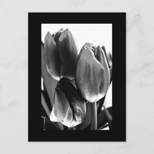 Postal Flores postales-64