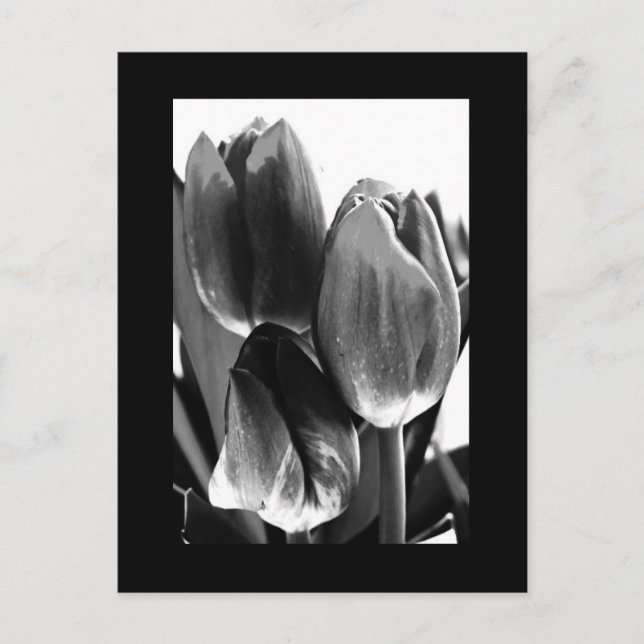 Postal Flores postales-64 (Anverso)