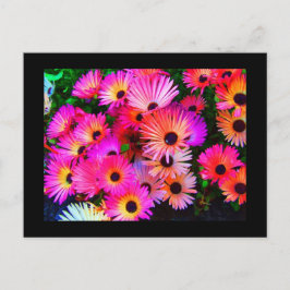 Postal Flores postales-68