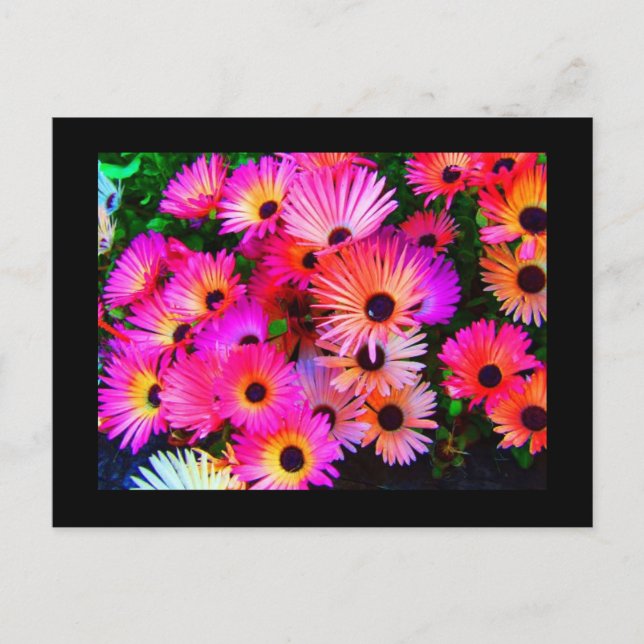 Postal Flores postales-68 (Anverso)