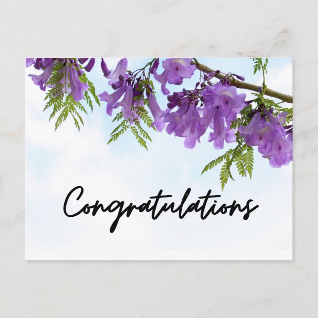 Postal Flores Púrpuras de Jacaranda Felicitaciones (Anverso)