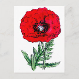 Postal flores rojas de amapola vintage flores de las viña