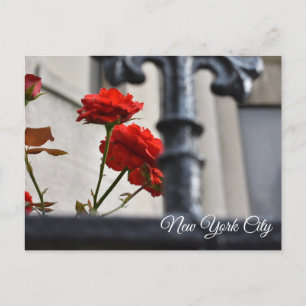 Postal Flores rojas en hierro forjado en Nueva York Fotog