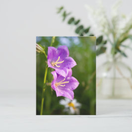 Postal Flores Románticas – Fantasía Botánica Boho