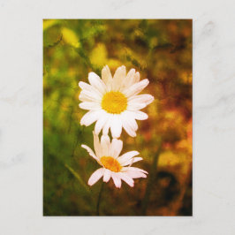 Postal Flores Románticas – Pareja de Margaritas Botánicas