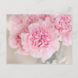 Postal Flores rosa