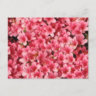 Postal Flores rosa brillantes