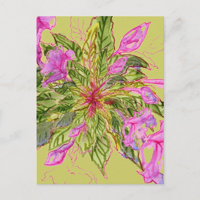 Postal Flores rosa de Balsam Bouquet en verde (Anverso)