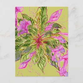 Postal Flores rosa de Balsam Bouquet en verde
