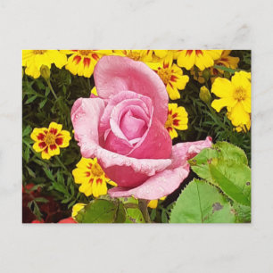 Postal Flores rosa y amarilla