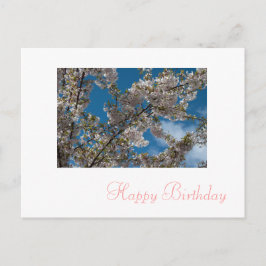 Postal flores rosadas de cerezo flor feliz cumpleaños
