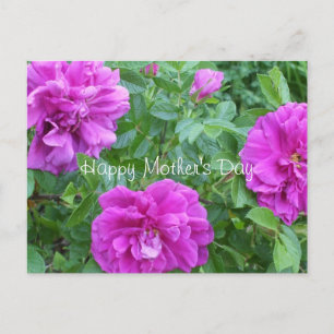 Postal Flores rosadas encantadoras del día de la madre