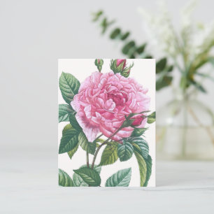 Postal Flores rosas rosas con hojas verdes