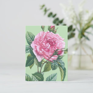 Postal Flores rosas rosas con hojas verdes