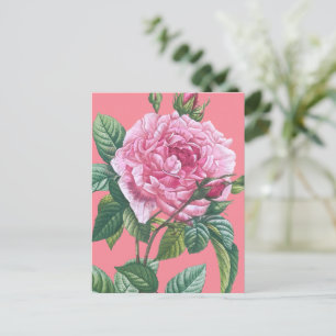 Postal Flores rosas rosas con hojas verdes