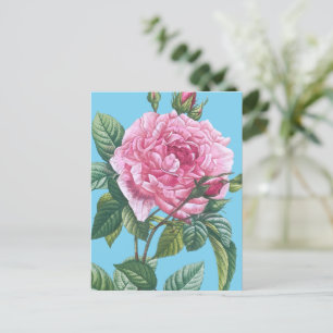 Postal Flores rosas rosas con hojas verdes