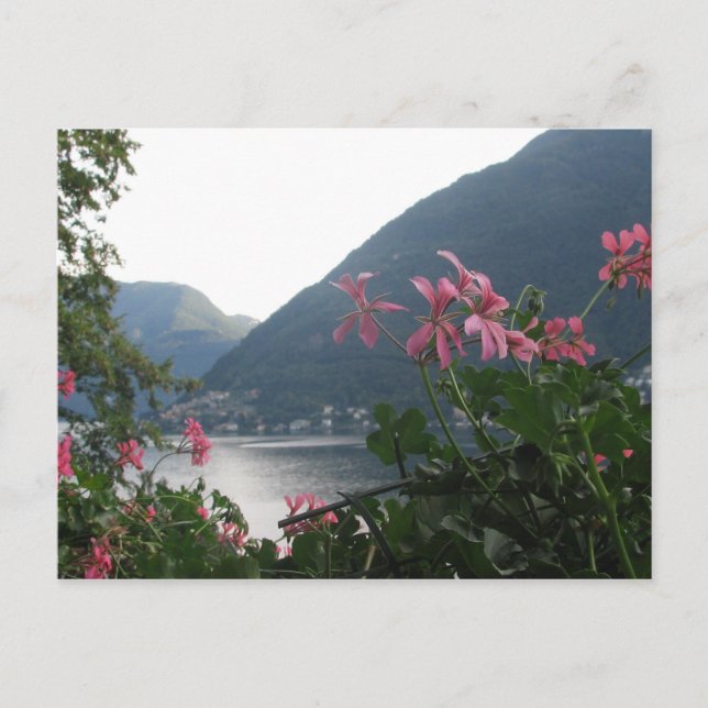 Postal Flores rosas sobre el lago Como (Anverso)