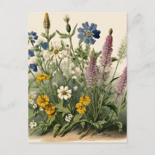 Postal Flores salvajes elegantes