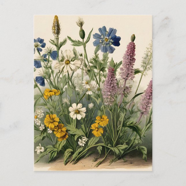 Postal Flores salvajes elegantes (Anverso)