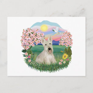 Postal Flores - Scottish Terrier Wheaten