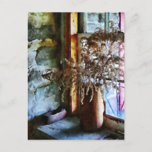 Postal Flores secas en Windowsill