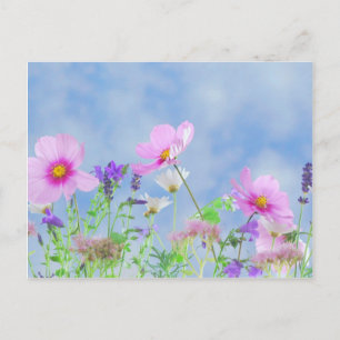 Postal Flores silvestres