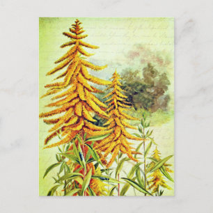 Postal Flores silvestres americanas de color amarillo gol