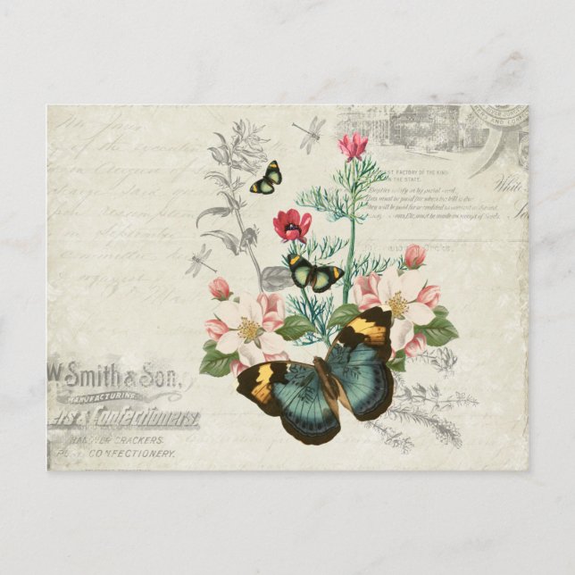 Postal Flores silvestres Butterflies Ephemera vintage (Anverso)
