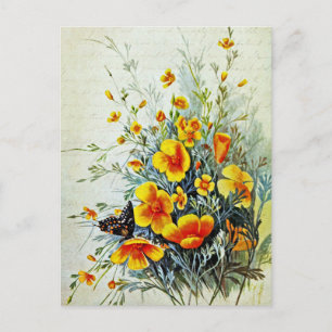Postal Flores silvestres de amapola californiana vintage