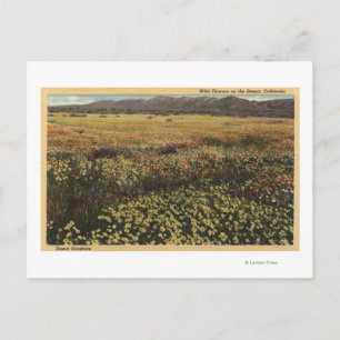 Postal Flores silvestres de California en el desierto