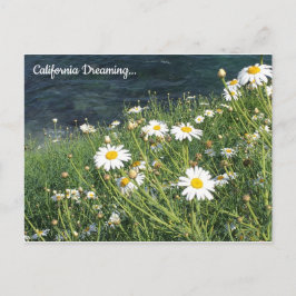 Postal Flores silvestres de California, La Jolla Cove