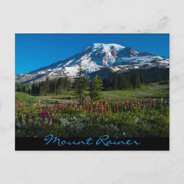 Postal Flores silvestres de prados paraísos (Anverso)