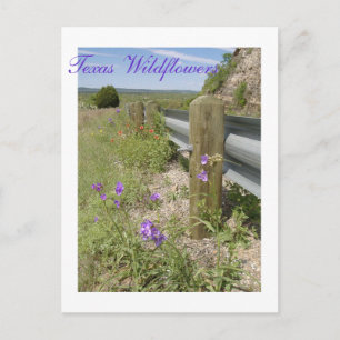 Postal Flores silvestres de Texas