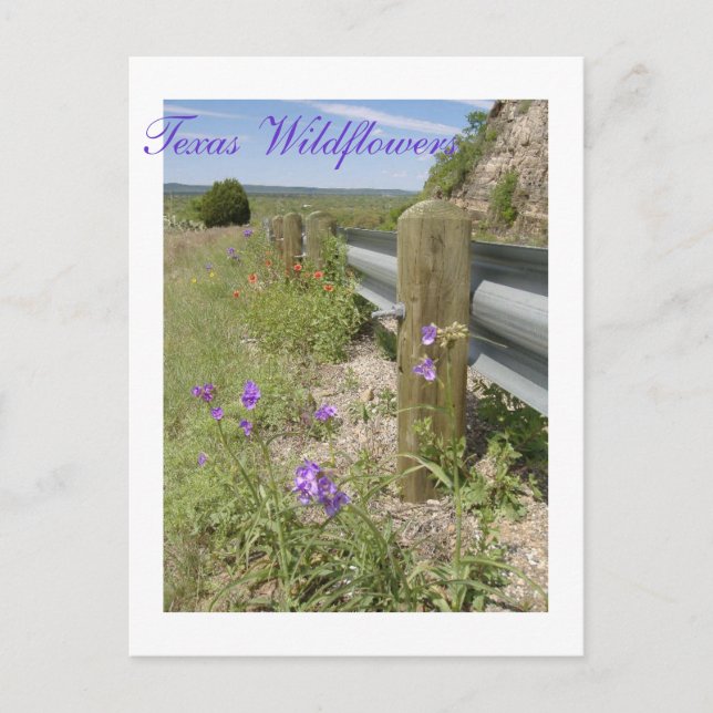 Postal Flores silvestres de Texas (Anverso)