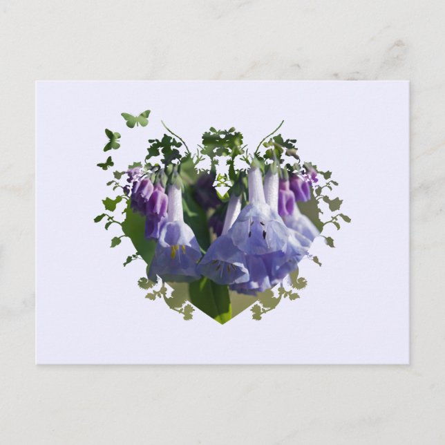 Postal Flores silvestres de Virginia Bluebells (Anverso)