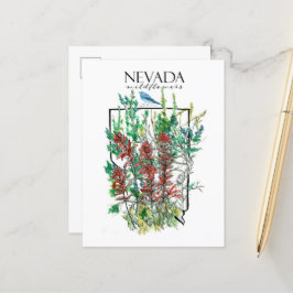 Postal Flores silvestres del desierto Nevada Pincel indio