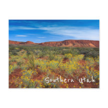 Flores silvestres del sur de Utah