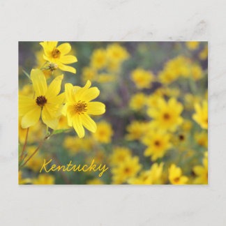 Postal Flores silvestres en las montañas por JerseyFawn