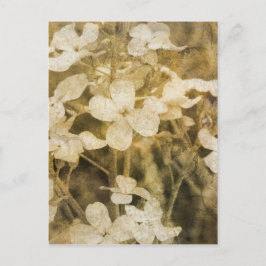 Postal Flores silvestres en Sepia