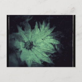 Postal Flores silvestres Grunge