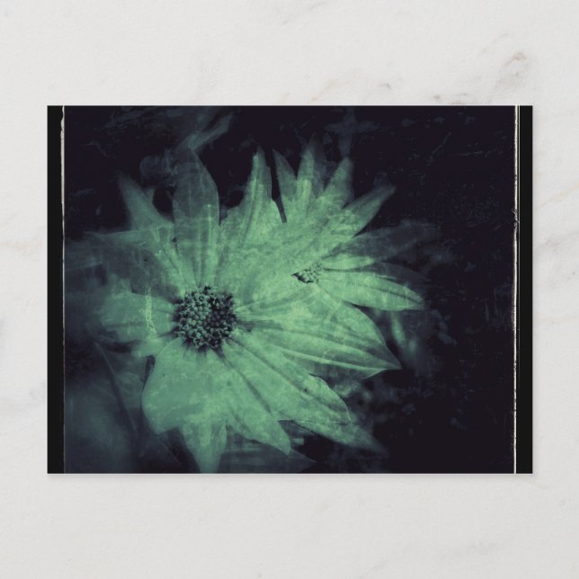 Postal Flores silvestres Grunge (Anverso)