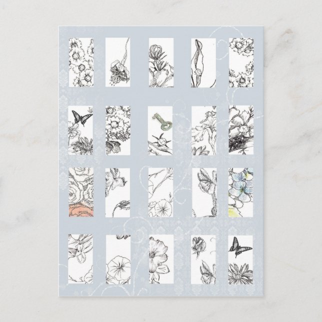 Postal Flores silvestres Lápiz de tinta negra esboza arte (Anverso)