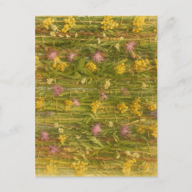 Postal Flores silvestres letonas - Naturaleza preservada (Anverso)