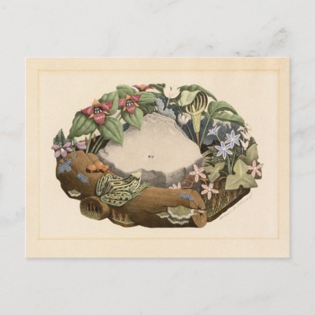 Postal Flores silvestres por Grant Wood (Anverso)