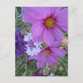 Postal flores silvestres púrpuras