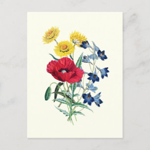 Postal Flores silvestres vírgenes botánicas: amapola, mar