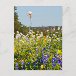 Postal Flores Silvestres Y Molino De Viento En Texas Hill
