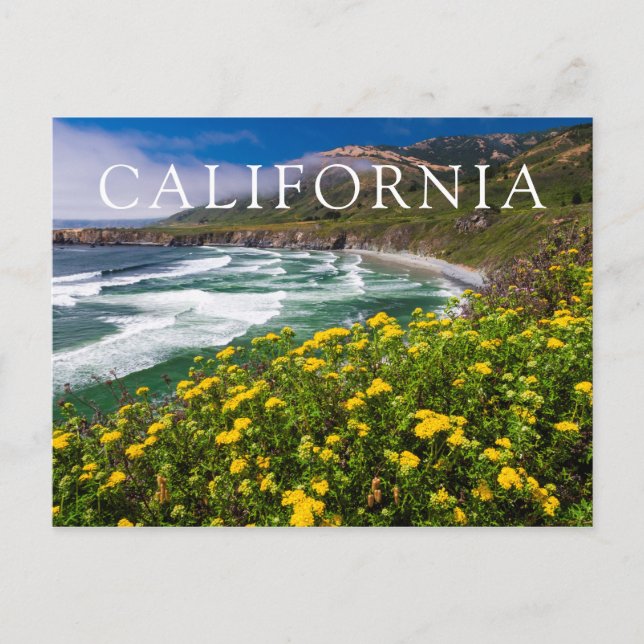 Postal Flores sobre la playa de dólar de arena (Anverso)