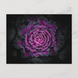 Postal Flores traseras n.º 99, versión en color