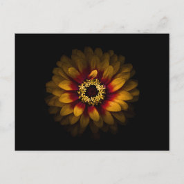 Postal Flores traseras n° 69, versión en color